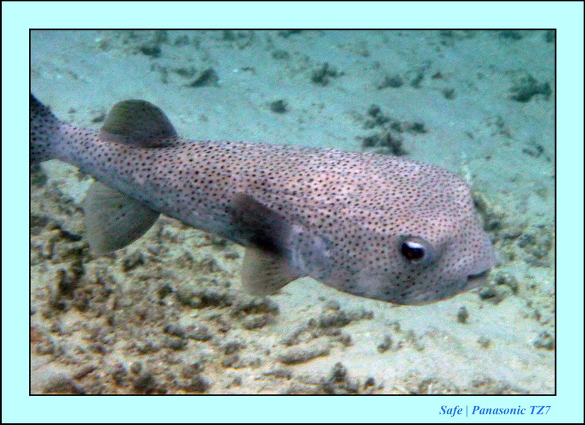 2009   07   Matakin 27